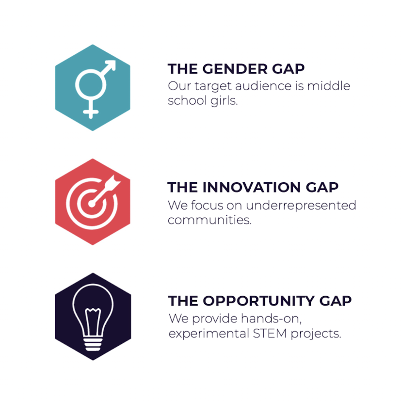 The Gender Gap The Innovation Gap The Opportunity Gap